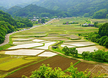 農(nóng)牧業(yè)